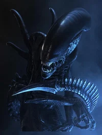 Xenomorph