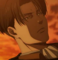 Levi Ackerman 