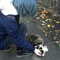 Рома Вишневский 