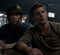 THE WINCHESTERS