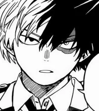 Todoroki Shoto