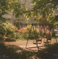 A pair of swings