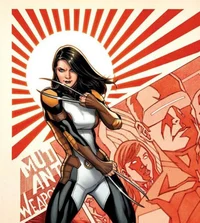 X 23