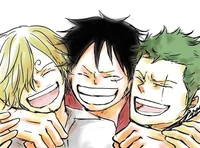 Luffy Sanji Zoro