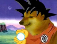 Goku Doge