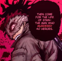 Hero Killer- Stain