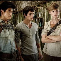 The Maze Runner