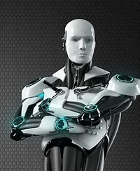 Humanoid Robot
