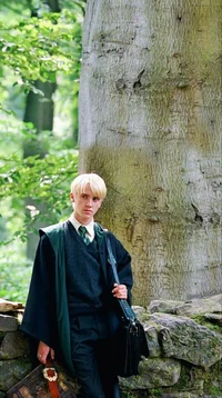 Draco malfoy 