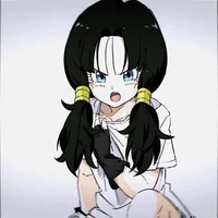 Videl 