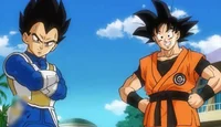 Goku and Vegeta 