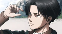 Levi Ackerman Br
