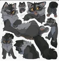 GreyStripe