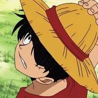 Luffy D Monkey