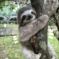 SLOTH - 1