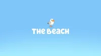 BLUEY Beaches