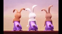 Bunnies