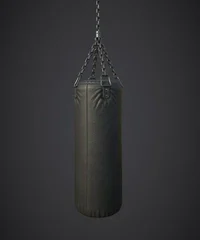 Punching bag 