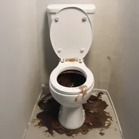 Toilet with diarrhea