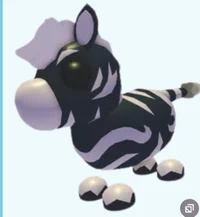 Ash zebra
