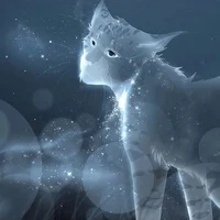 Синия звезда 