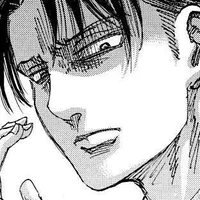 levi ackerman 