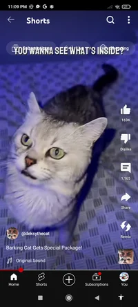 Deksy