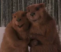 Mr and Mrs Beaver