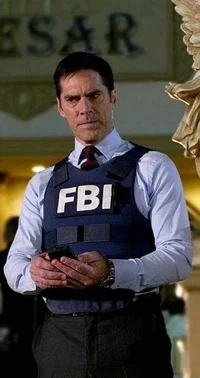 Agent Aaron Hotchner
