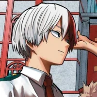 Shoto Todoroki