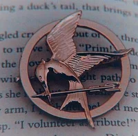 DISTRICT 13
