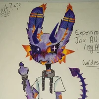 Jax - Experiment AU