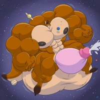 Macro furry kangaroo