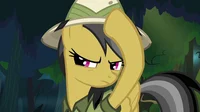 Daring Do