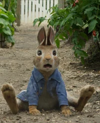 Peter Rabbit 