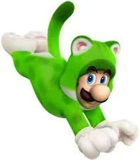 Cat Luigi