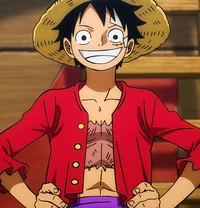 Monkey D Luffy