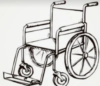 Wheelchair user mha