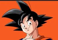 - Son Goku -