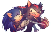 Sonic and Shadow 