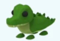 Crocodile