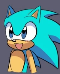 Codrin the Hedgehog 