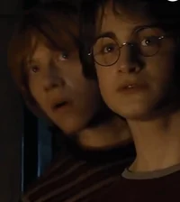 Harry and Ron