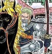 Knight Zoro