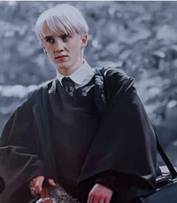 Draco Malfoy 