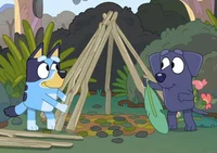 Bluey-Camping 