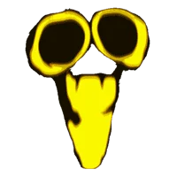 IR e section entitie