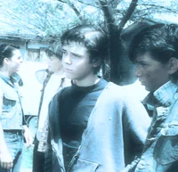 Ponyboy Curtis 