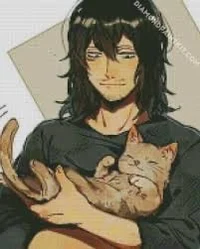MHA Shota aizawa
