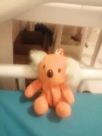Koala naranja 